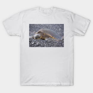 turtle T-Shirt